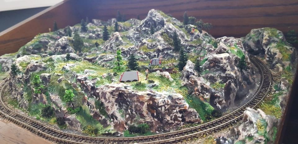 Highly detailed Z Gauge Model Railway and train by Mountain Lake Model Railways. - Image 4 of 4