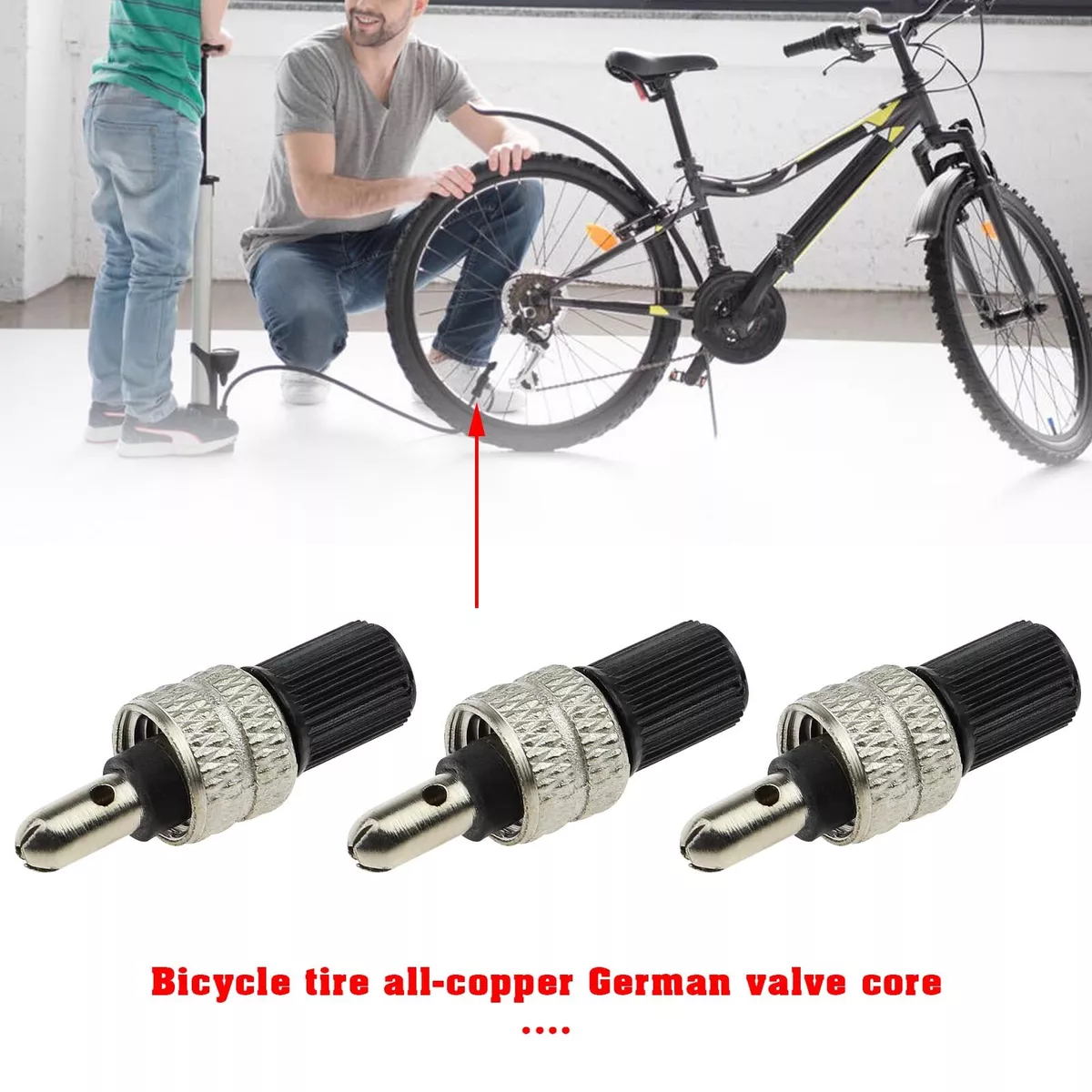 Dutch bike valve 2025