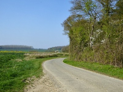 Foto 6x4 Kurve auf Fahrspur bei Holz Hahn & Ende Das Holz rechts hat keine Ma c2017