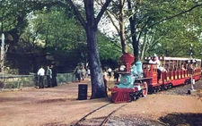Zoo Line Railroad Forest Park St. Louis Missouri Vintage Chrome Post Card