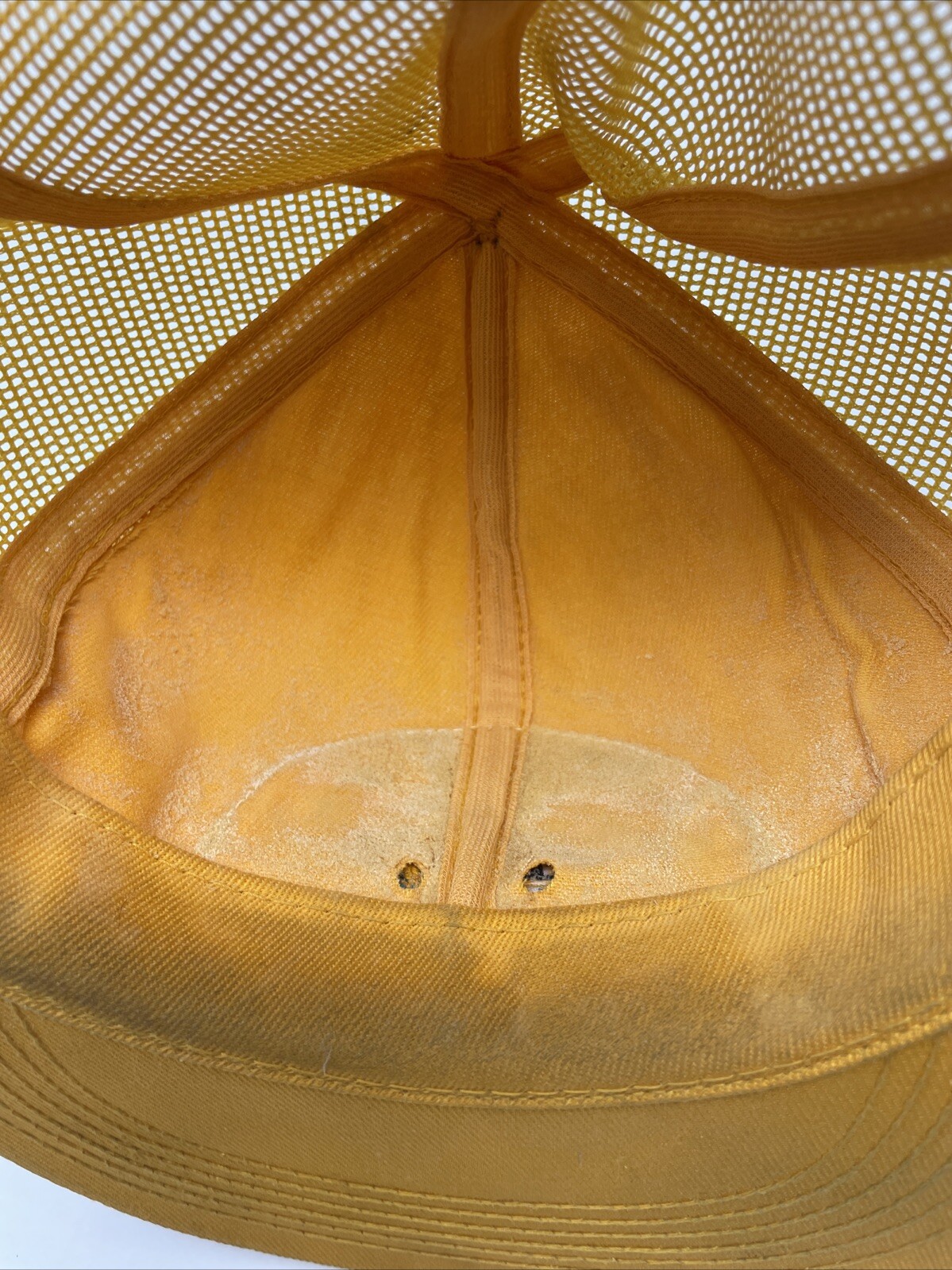 Foto 6 di 6
