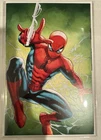 AMAZING SPIDER-MAN #1 2025 | GREG LAND | DAMAGE SEE PIX | 1:100 VIRGIN