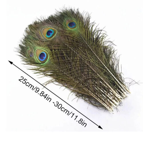 15X Natural Peacock Feathers Real Peacock Tail Feathers 25-30CM Feathers Decors - Picture 5 of 5