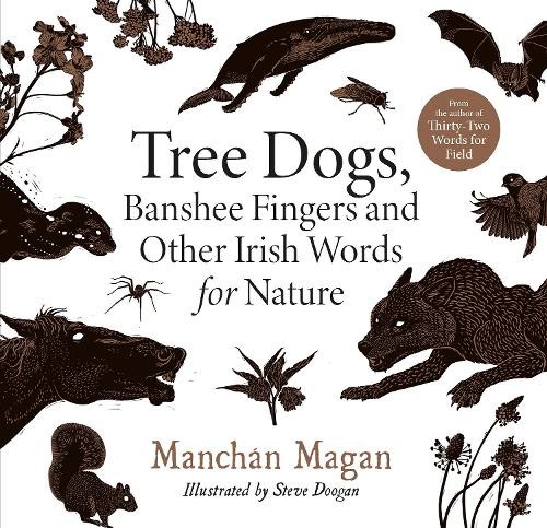 Tree Dogs, Banshee Fingers and Other Irish Words for Nature by Manchán Magan - Image 7