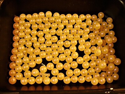 MAD RIVER REAL DEAL PURPLE IRIDESCENT BEADS STEELHEAD TROUT SIZES