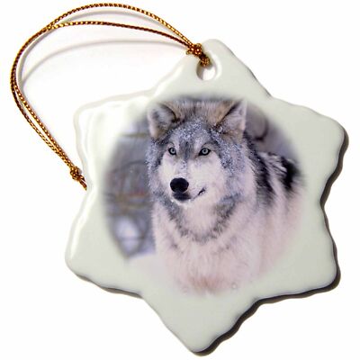 3dRose Timber Wolf, Canis Lupus - NA02 DNO0319 - David Northcott 3 inch Snowflak