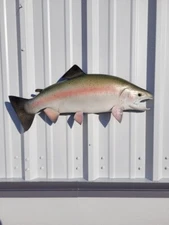 25" Rainbow Trout Half Fish Mount Replica - In Stock & Ready to Ship