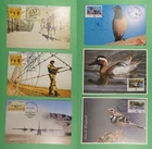 DR WHO INDIA 6 FDC MAXIMUM CARD MILITARY/BIRD R63870