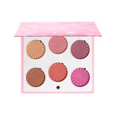 OFRA Cosmetics Blushful Mini Mix Blush Palette 6 Shades of Blush