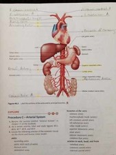 Laboratory Manual for Holes Human - Spiral-bo...