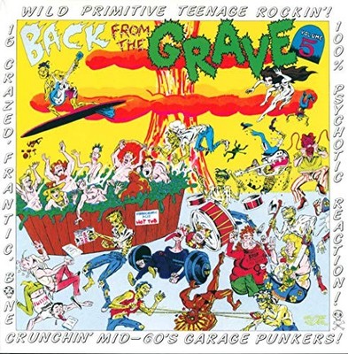 Various Artists - Back From The Grave - Vol.5 [VINYL]