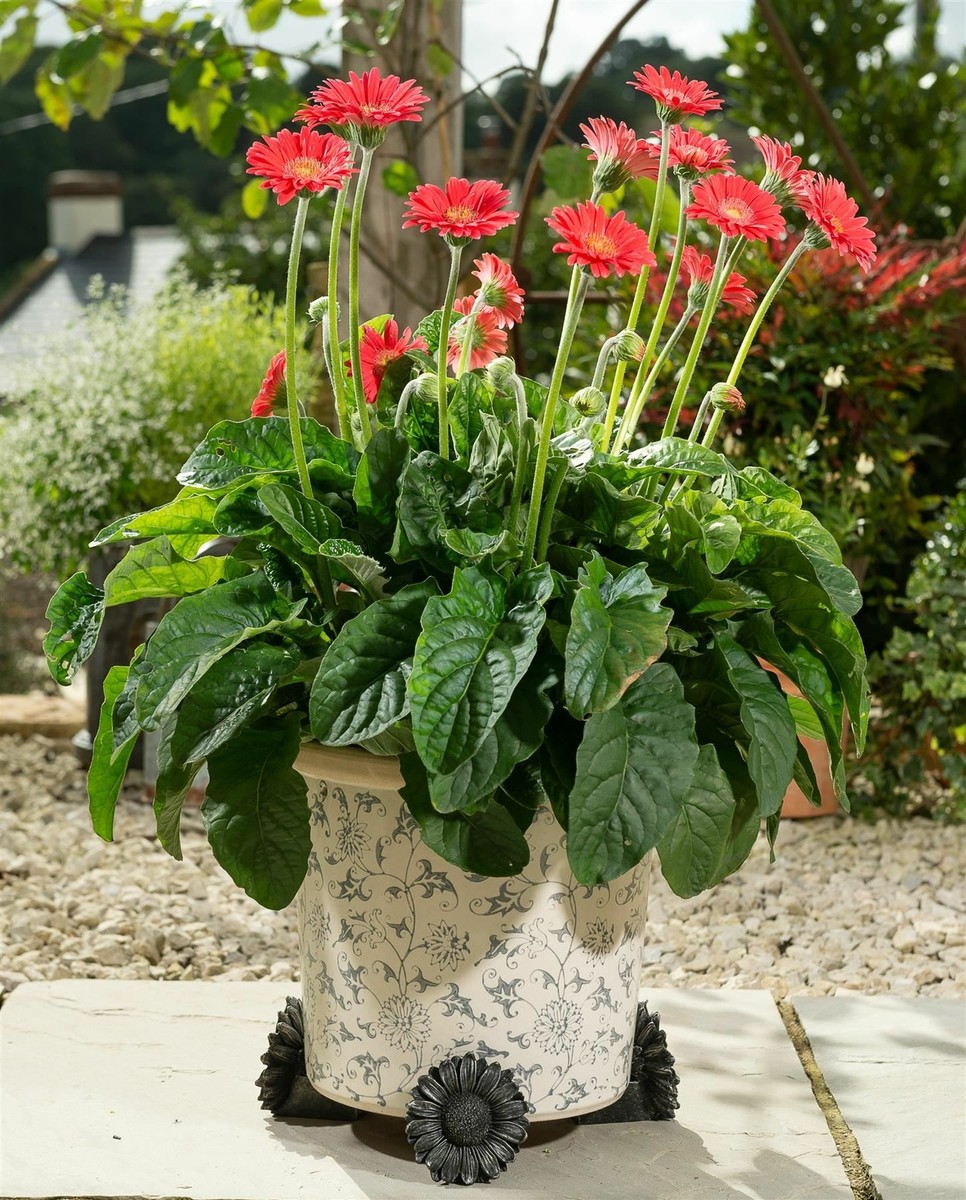 Potty Feet Daisy Figures Planter Riser - Handmade Yard Art Ornaments - 3pcs  | eBay