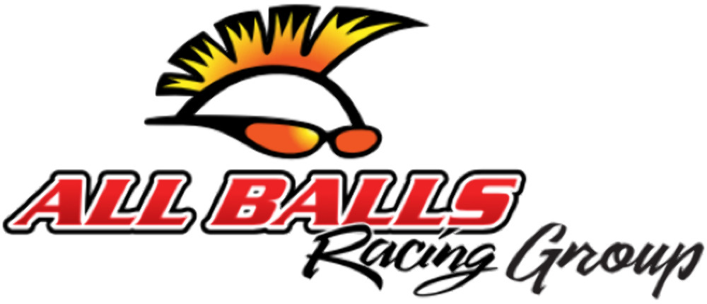 CBR1000RR  2021-2022  Honda  All Balls  Steering Stem Bearing & Seal Kit