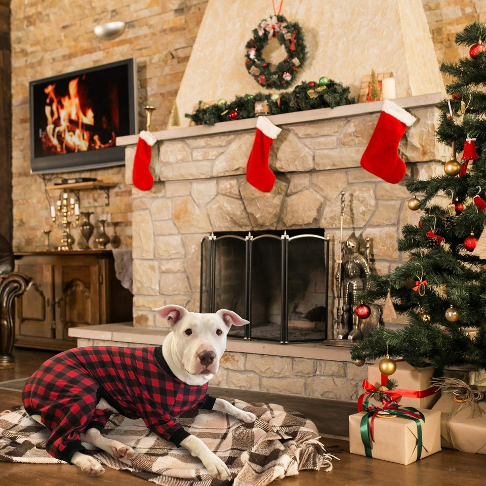 Tooth and Honey Pit Bull Pajamas/Buffalo Plaid/Lightweight Pullover