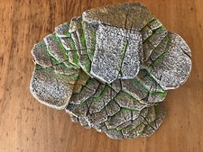 Reptile Resting Terrace Tortoise Climbing Platform Shale Scape Step Ledge, Repti