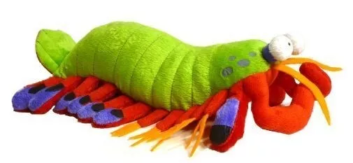 Peluche Adore 14 Harlequin Le paon Mantis crevettes en peluche