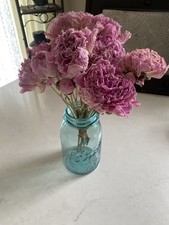 Dried PEONIES Lot of 10 DRIED Peony FLOWER Bunch BOUQUET Bundle PINKS USA