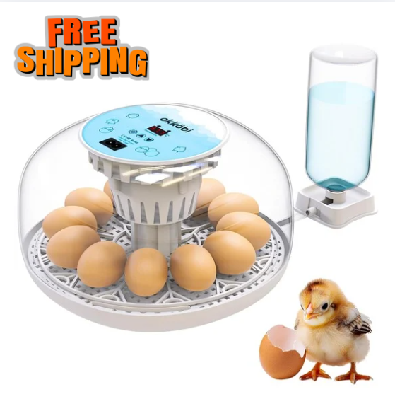Incubators for Hatching Eggs 12 Egg Automatic Turner with