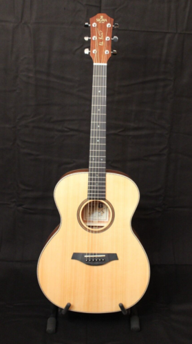 Chitarra/chitarra SIGMA GM+ PB Peter Bursch + pickup prezzo consigliato: 699 € *espositore* - Foto 1 di 16