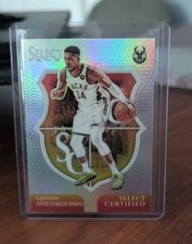 2024-25 Panini Select #1 Giannis Antetokounmpo Select Certified Silver Prizms
