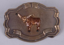 Longhorn Steer Belt Buckle, Brass, Western, Cowboy Buckle, Enamel