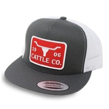Chisholm - 5-Panel 1983/1906 Cattle Co Logo Longhorn Patch One Size Grey/White