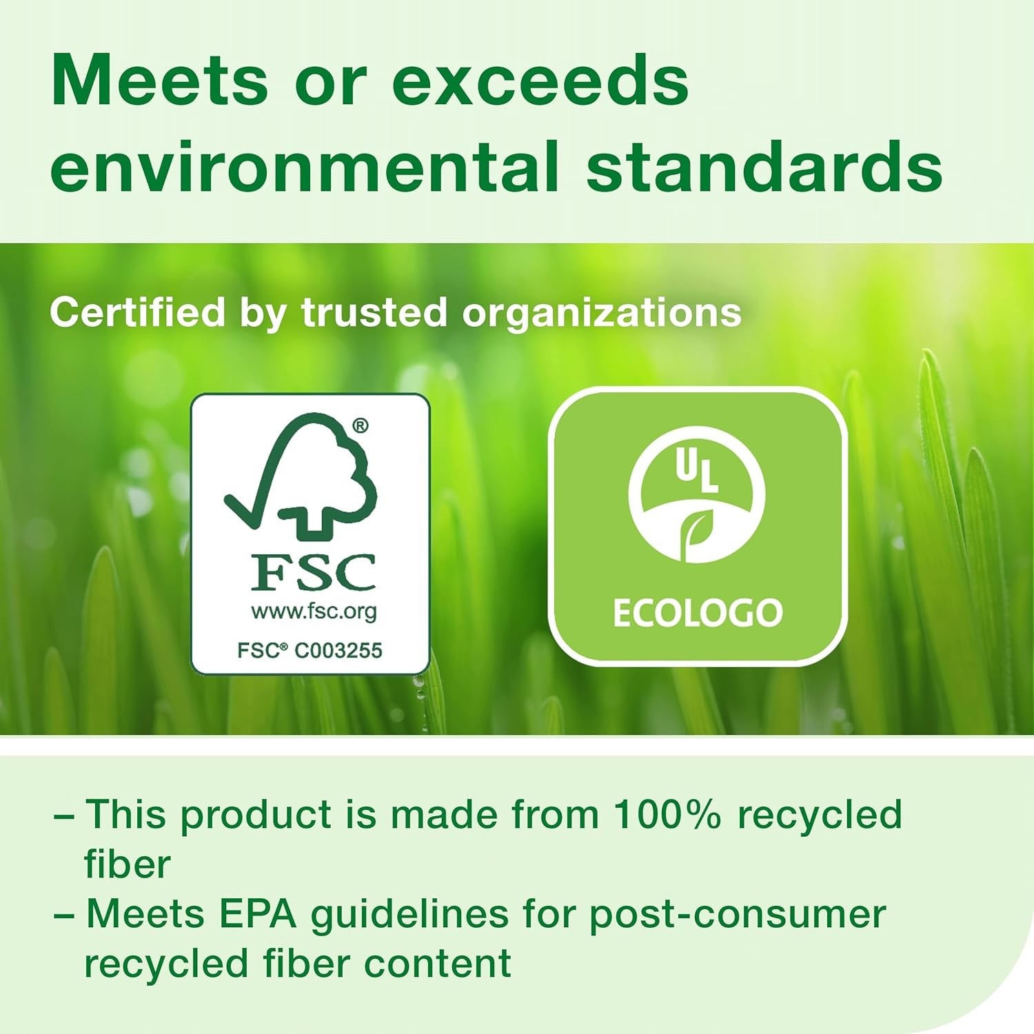 Eco-Friendly Jumbo Toilet Paper Roll T22 - 12 Rolls, 2-Ply for Strong Absorption