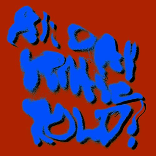 Porches: Tutto Il Giorno Delicato Hold! (Limitato) LP Vinyl NUOVO