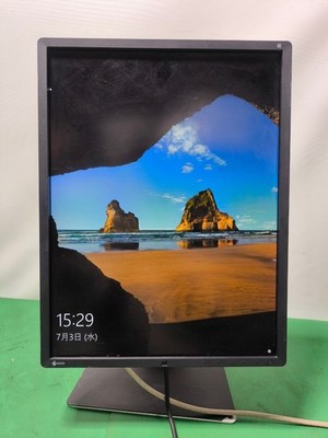 EIZO RadiForce RX350 Monitor 21,3 Zoll 1536X2048 Eingangsklemme funktionstüchtig