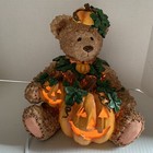 Bild 6 von 17