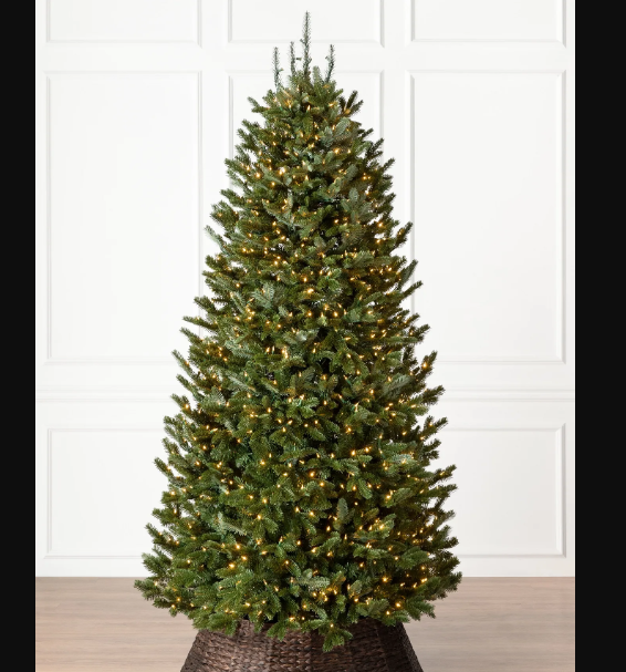 BALSAM HILL Fraser Fir Narrow 6.5 Tree w/Candlelight Clear LED Lights