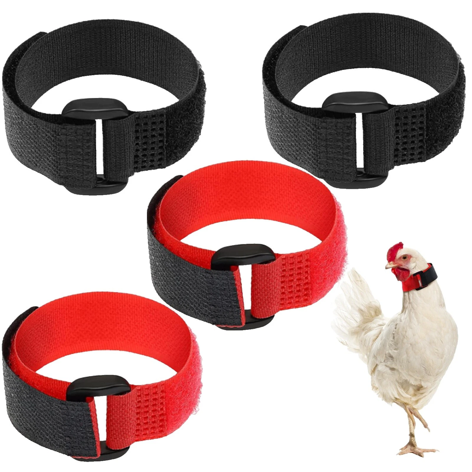 Collar de pato Patio suministros de aves de corral