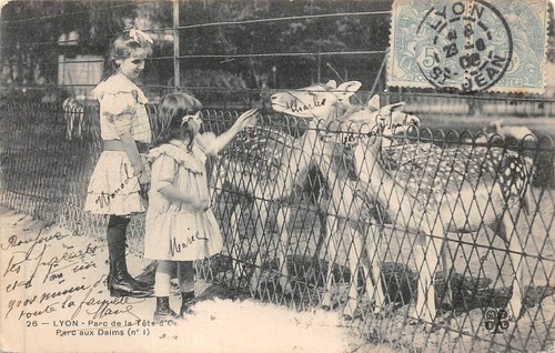 File:Ctauresse et Faune (Parc de la Tête d'Or, Lyon) (48842247063).jpg - Wikip