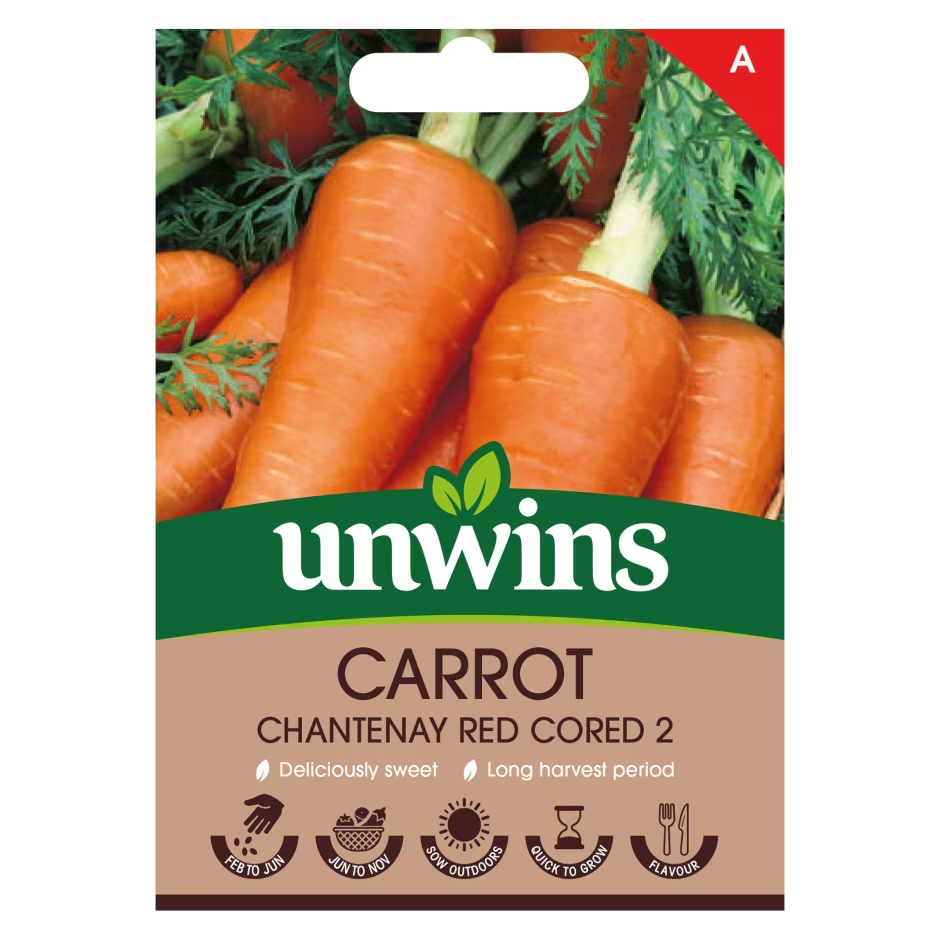 Unwins Carrot Chantenay Red Cored 2 Easy To Grow Approx 1800 seeds