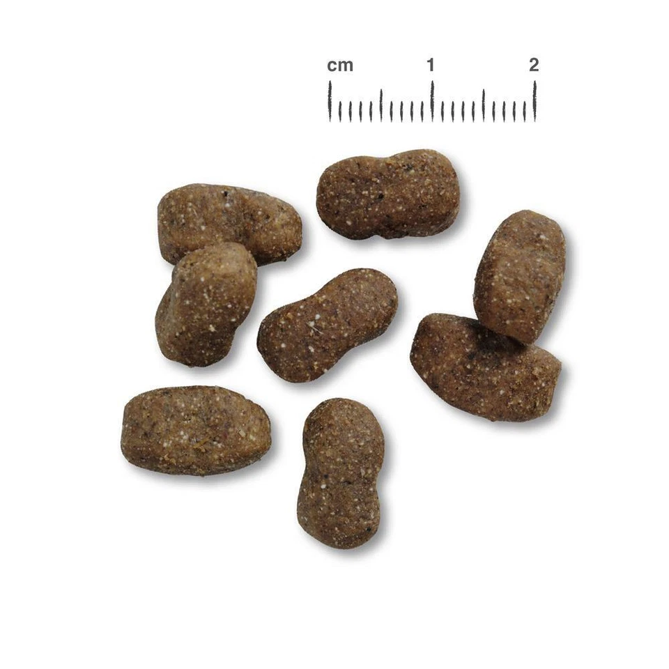 Belcando Adult GF Beef 12,5 kg - getreidefreies Hundefutter mit Rind - Bild 2 von 2