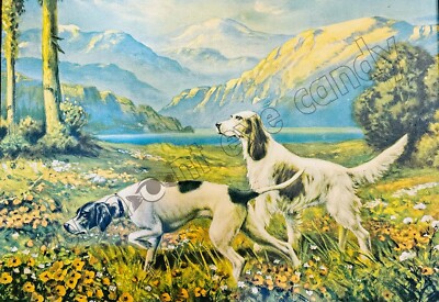 Mountain Good Hunting Dogs Hunting Dog Mountain Cur History
