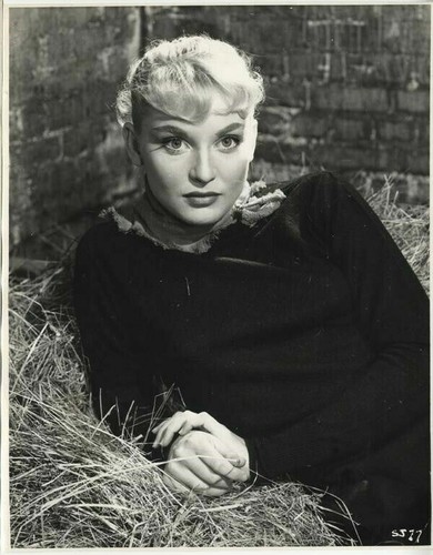 Diane Cilento wunderschönes Glamour Portrait markante Augen 1954 Original 8x10 Foto