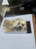 Wizards of the Coast MTG Avacyn Restored Booster Box Card Set