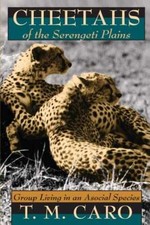 Cheetahs of the Serengeti Plains: Group - Pap...