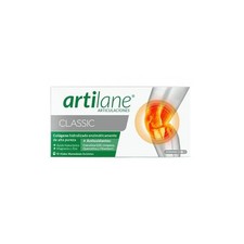 Pharmadiet Master Diet Artilane Pro 15 Fläschchen