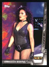 Vanessa Borne 2018 Topps WWE Women's Division #45 WRESTLING Card