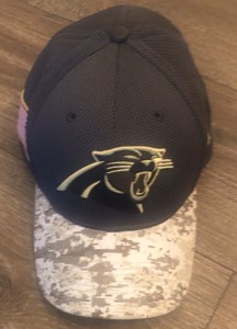 salute to service panthers hat
