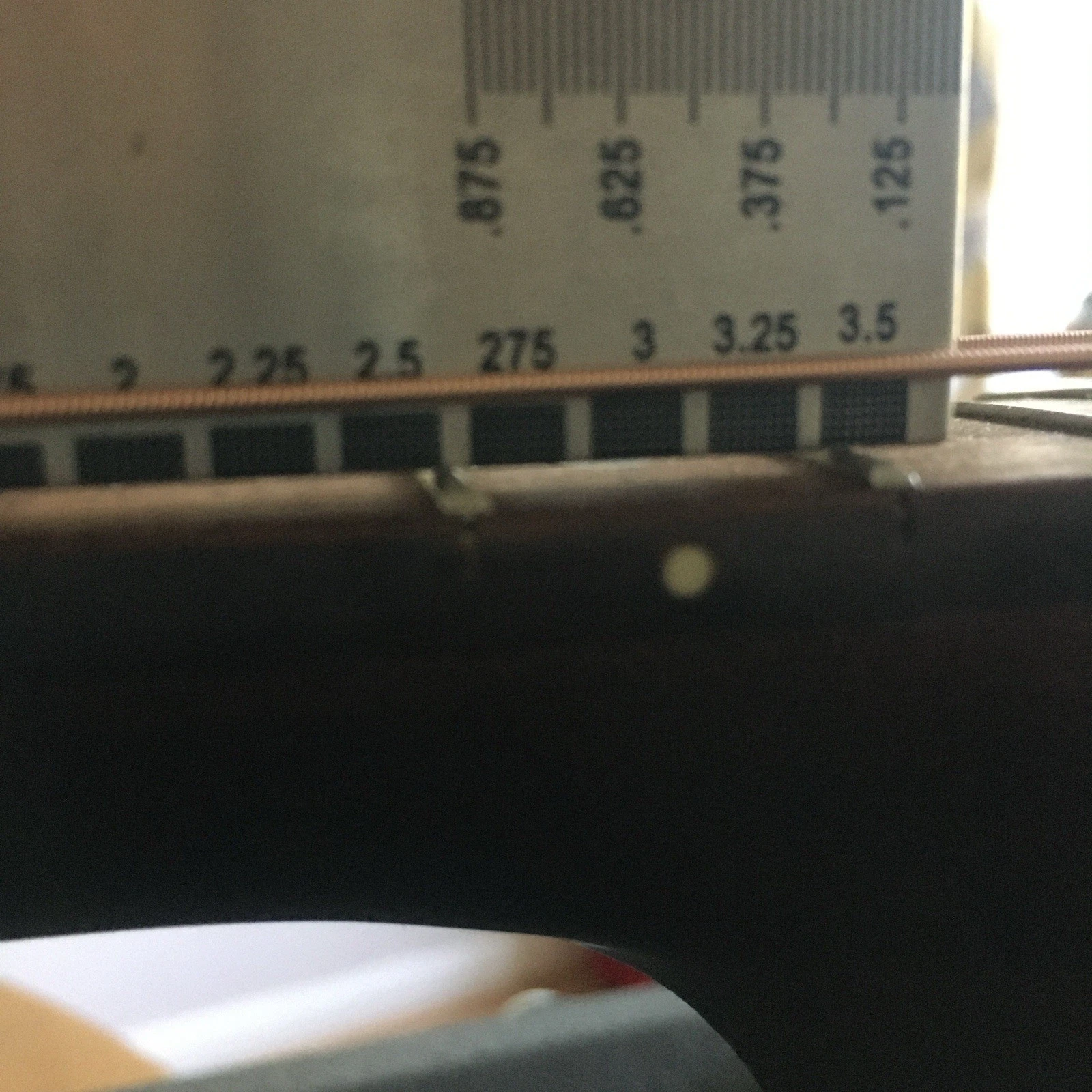 Picture 16 of 17