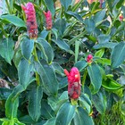 Bild 5 von 7