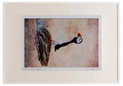 591025 Gemeiner Papageientaucher Aquarell Bilderrahmen