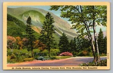 White Mountains NH Profile Mt Franconia Notch Lafayette Clearing Postcard Vtg E1