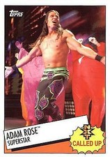 2015 WWE Heritage Insert Sets Pick a Card lot NXT TNA AEW 