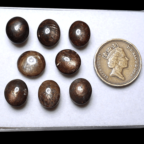 Sri Lankan 8 PC Natural Star Sapphire 11.6mm-12.8mm Untreated Cabochon Gemstones - Picture 3 of 11