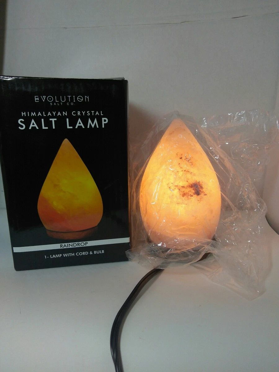 Evolution himalayan salt on sale lamp