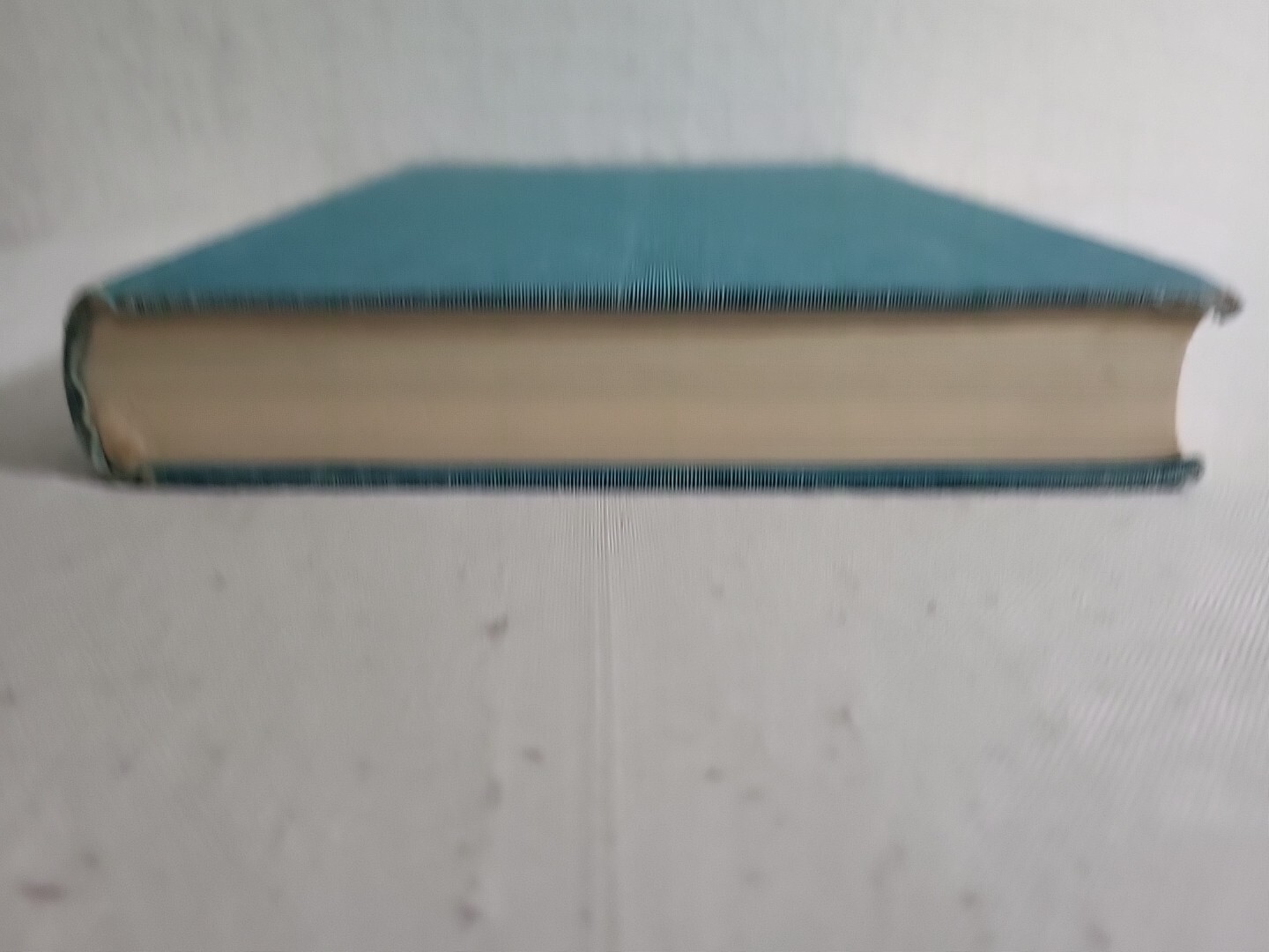 Picture 5 of 6